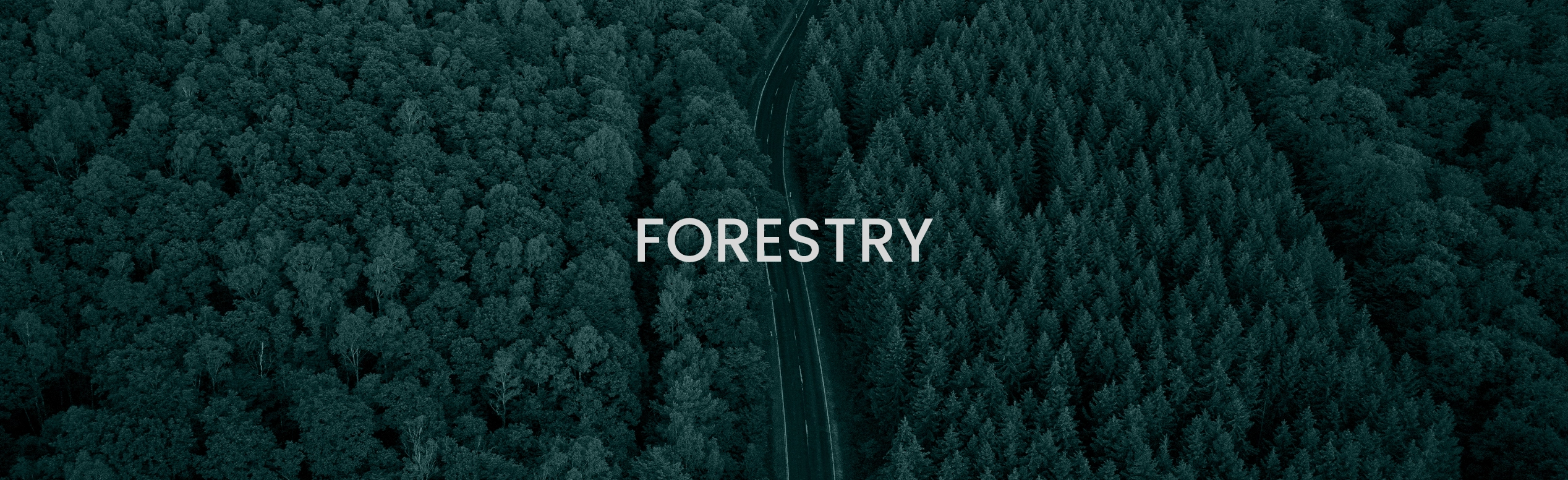 forestry-2434389